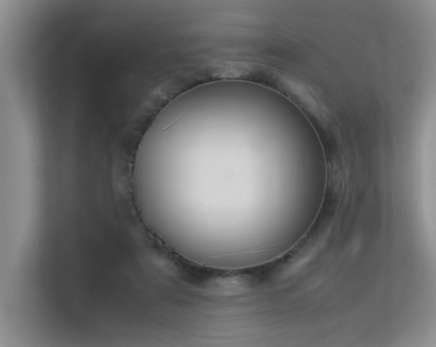 X0000113350307200909151159