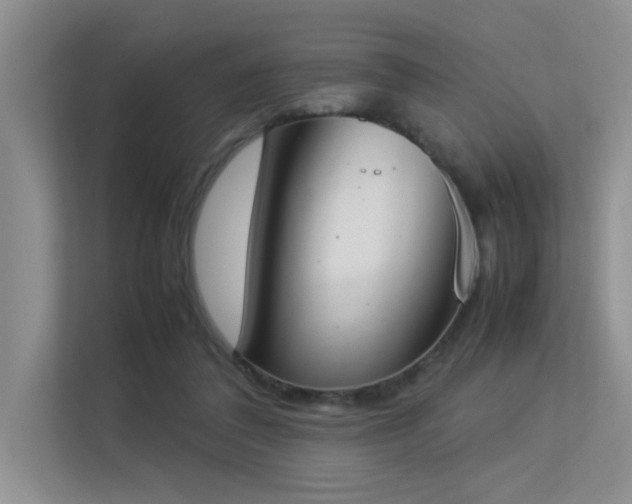 X0000113350308200909151159