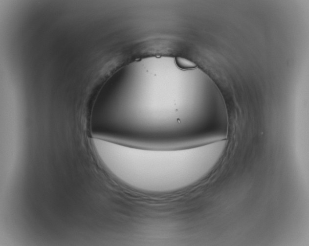 X0000113350309200909151159