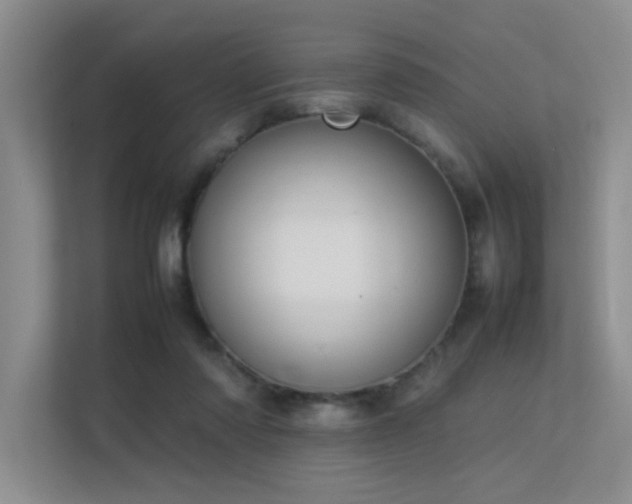 X0000113350310200909151159