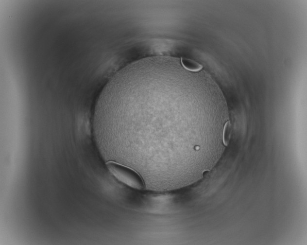 X0000113350313200909151159