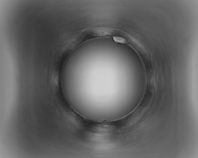 X0000113350315200909151159