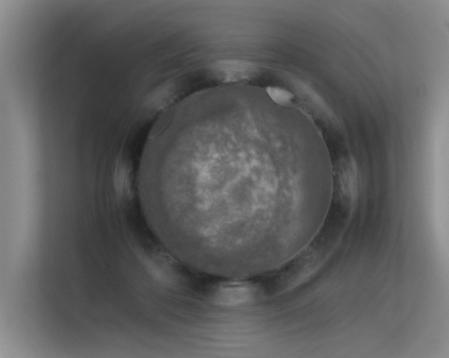 X0000113350316200909151159