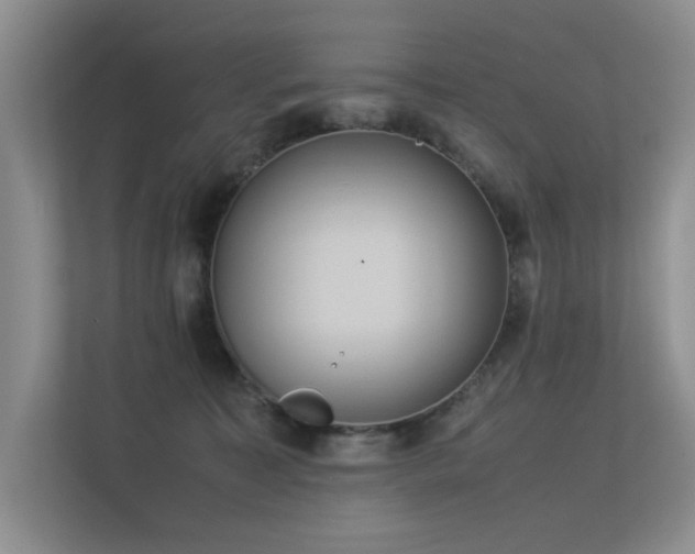 X0000113350323200909151158