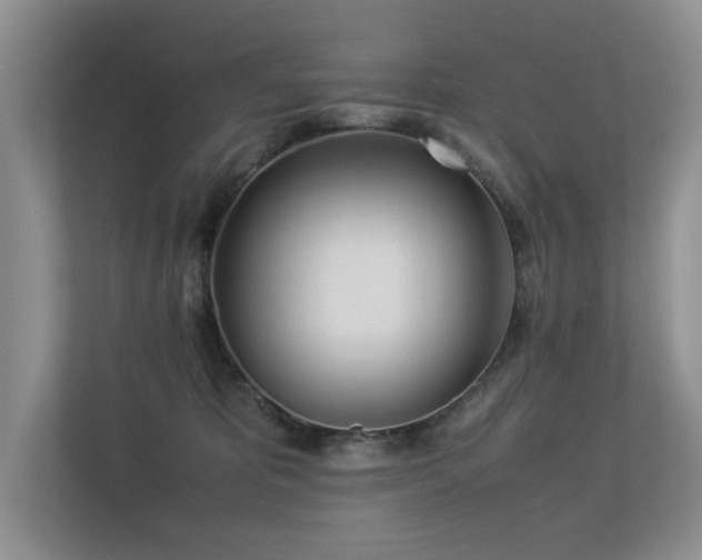 X0000113350325200909151158