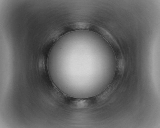 X0000113350326200909151158