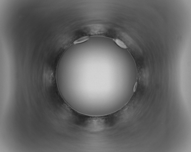 X0000113350327200909151158