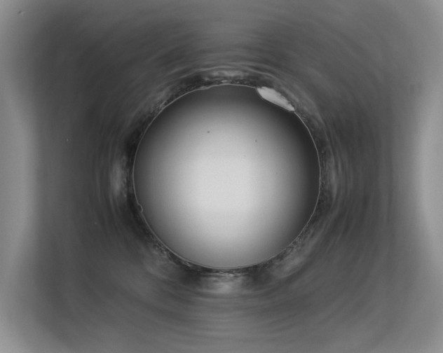 X0000113350328200909151158