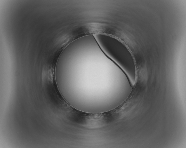X0000113350329200909151158
