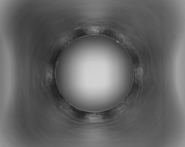 X0000113350331200909151158