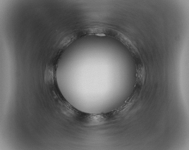 X0000113350333200909151158