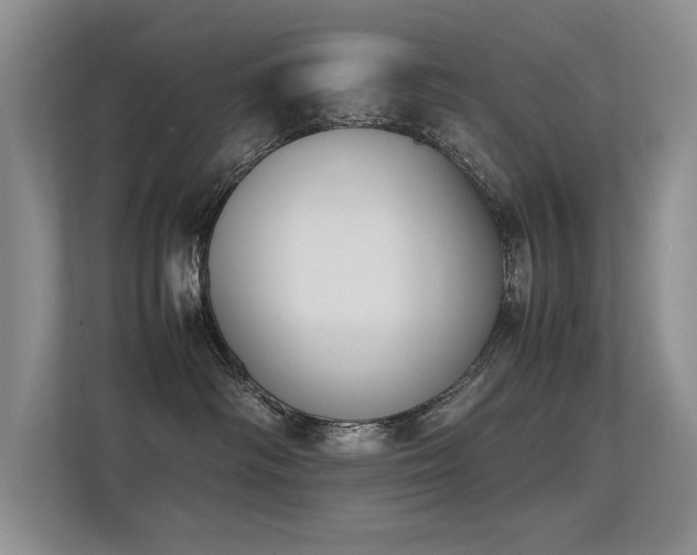 X0000113350334200909151158