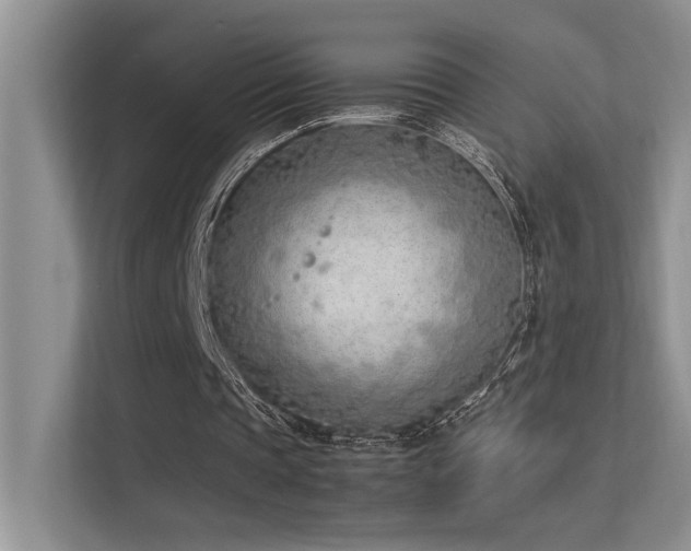 X0000113350337200909151158