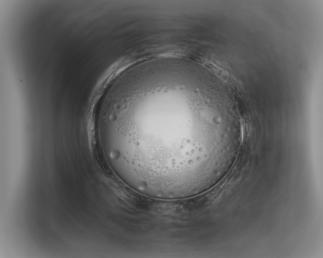 X0000113350339200909151158