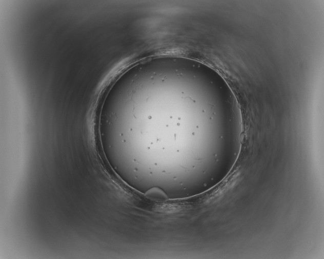 X0000113350341200909151158