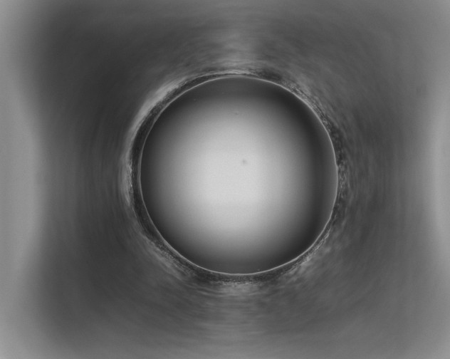 X0000113350342200909151158