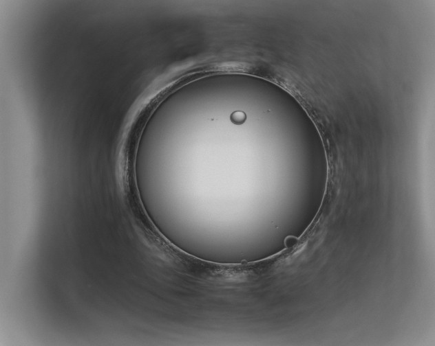 X0000113350343200909151158