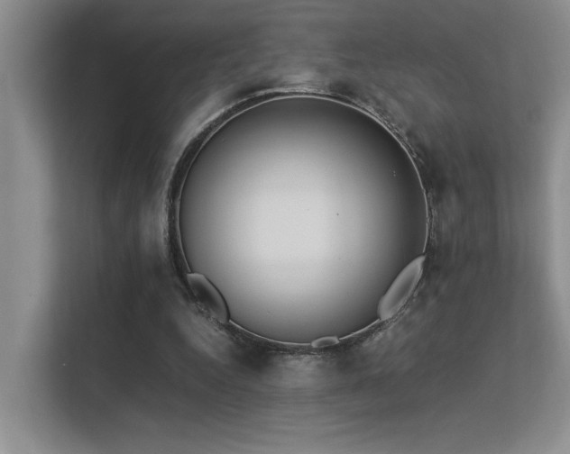 X0000113350344200909151158