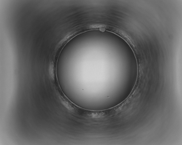 X0000113350345200909151158