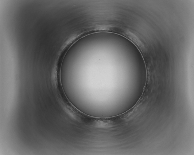 X0000113350346200909151158