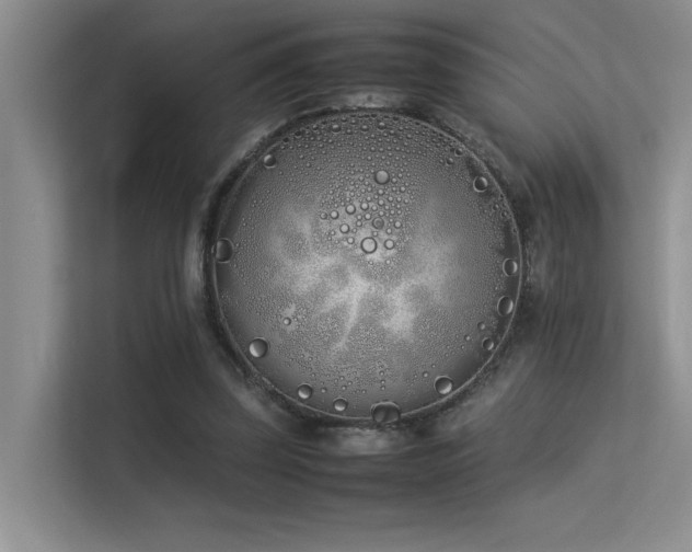 X0000113350347200909151158