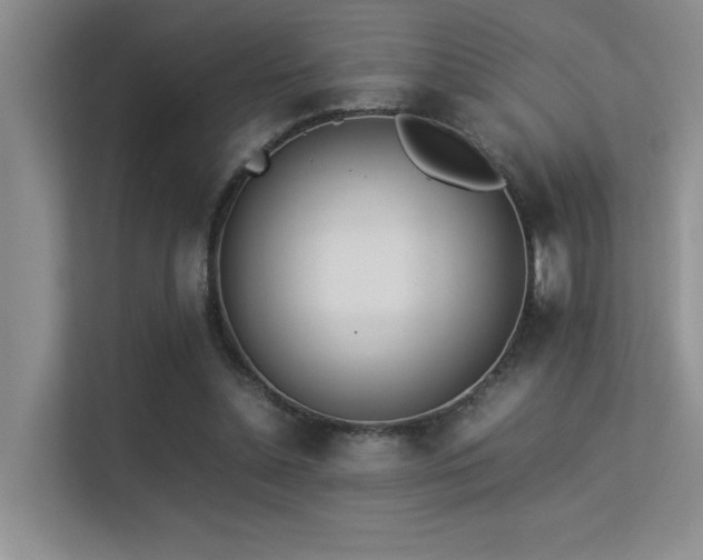X0000113350348200909151158