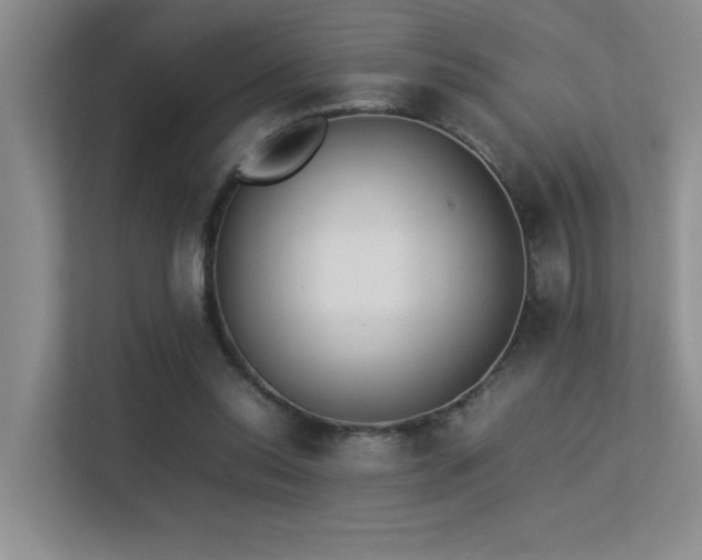 X0000113350350200909151158