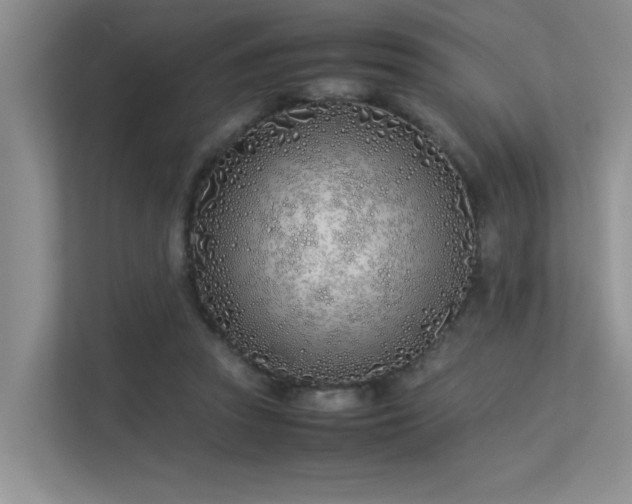 X0000113350353200909151158