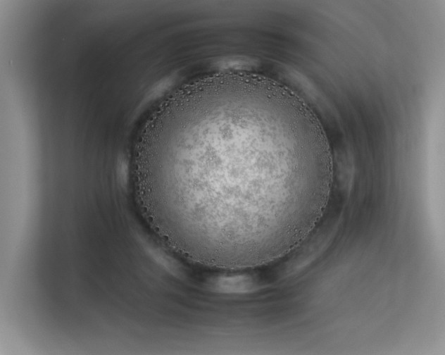 X0000113350357200909151158