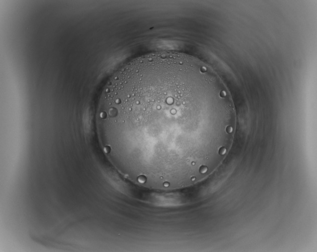 X0000113350359200909151158