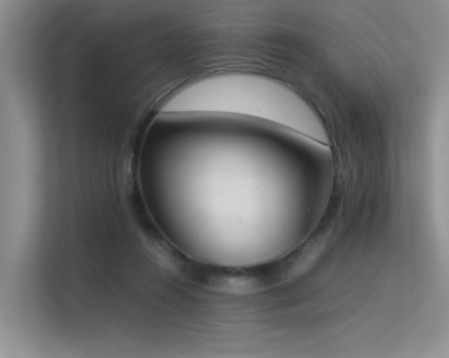 X0000113350360200909151158