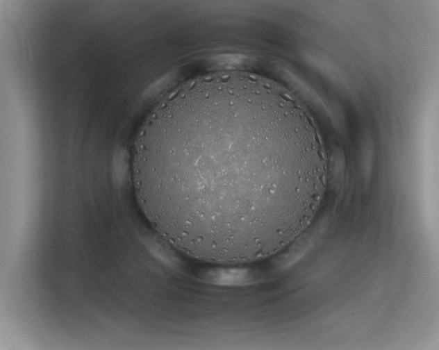 X0000113350361200909151158
