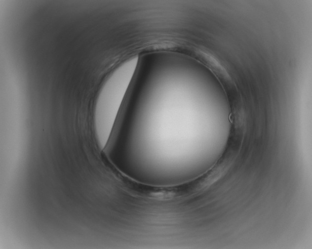 X0000113350362200909151158