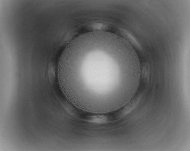 X0000113350363200909151158
