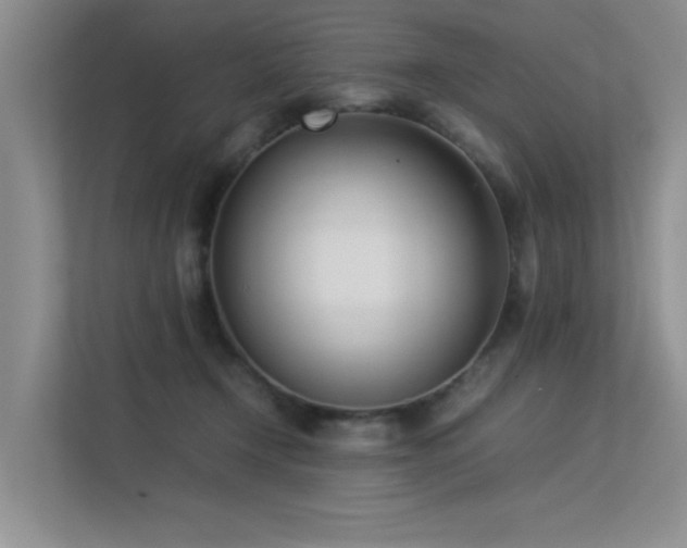 X0000113350366200909151158
