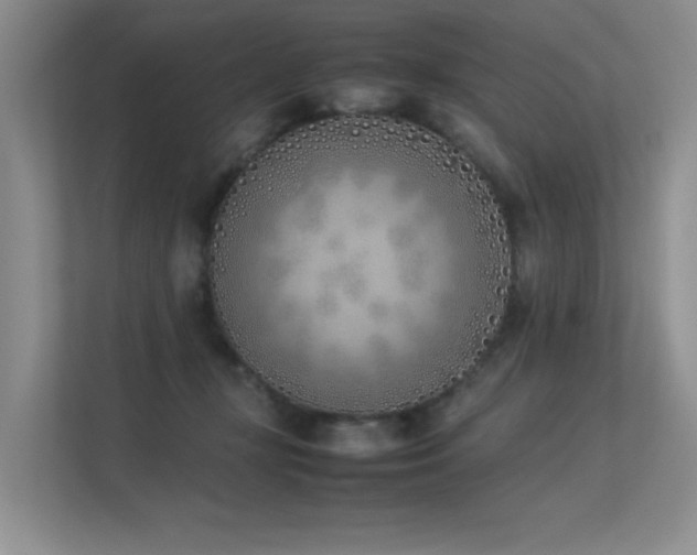 X0000113350367200909151158