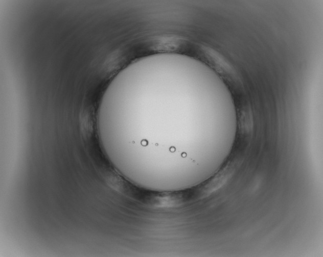 X0000113350370200909151158