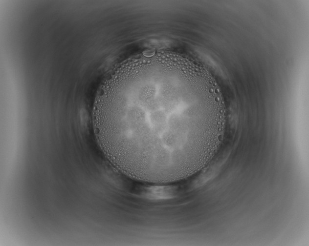 X0000113350371200909151158