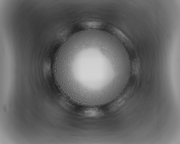 X0000113350377200909151158