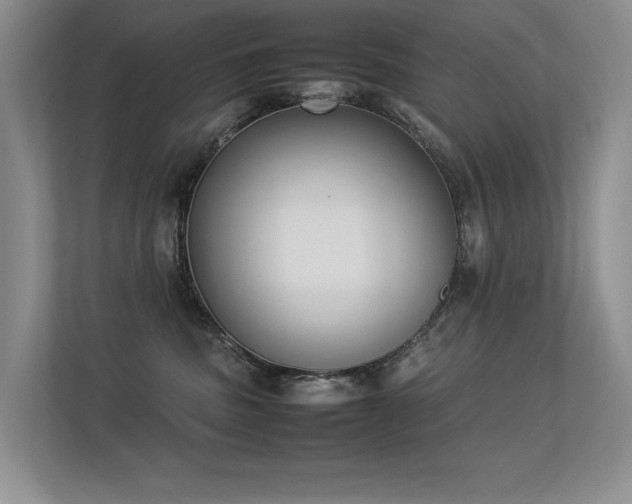 X0000113350379200909151158