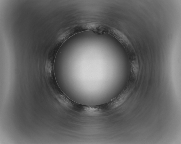X0000113350380200909151158