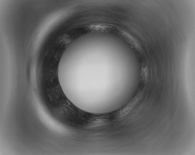 X0000113350381200909151158