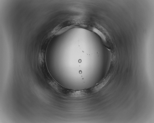 X0000113350382200909151158