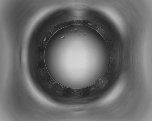 X0000113350383200909151158