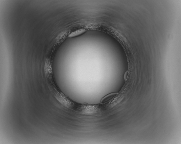 X0000113350384200909151158