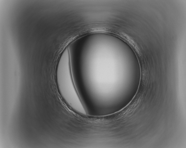 X0000113350385200909151158