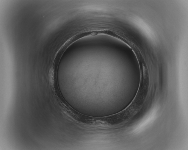 X0000113350387200909151158