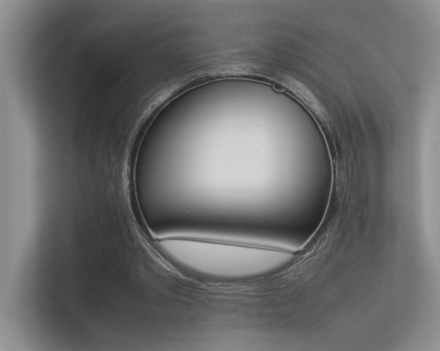 X0000113350389200909151158