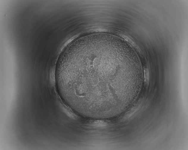 X0000113350390200909151158