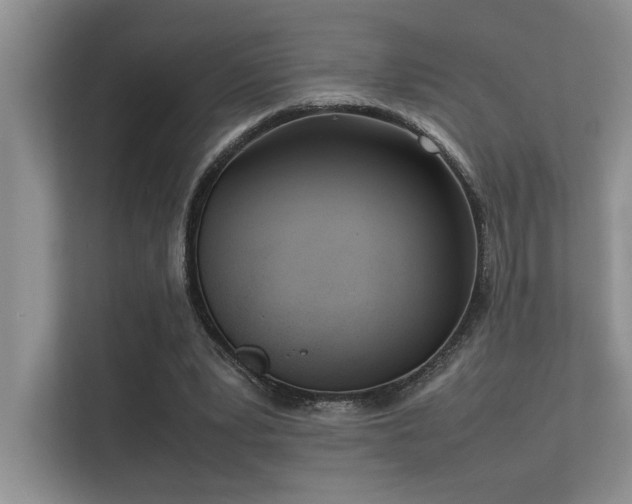 X0000113350391200909151158
